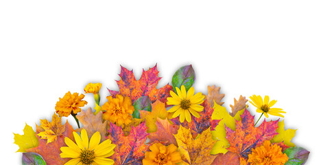 collage of autumn flowers and leaves