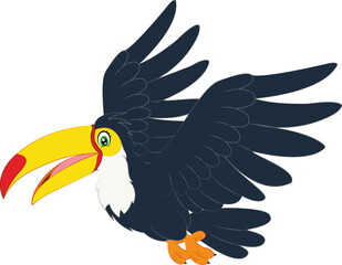 Hornbill bird cartoon