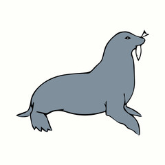 illustration of a seal isolated on white background