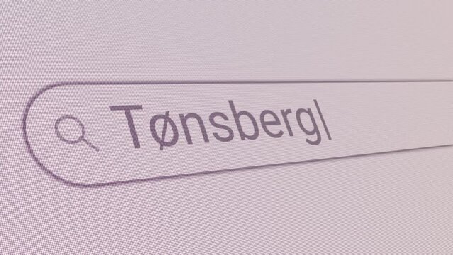 Search Bar Tonsberg 
Close Up Single Line Typing Text Box Layout Web Database Browser Engine Concept