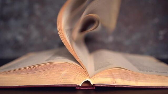 Hand turning pages of a book. Slow motion. Person's hand reading a book and holding fingers along the lines. Cinematic light at home or library. Concept for reading, studying, research, education.