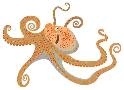 Vector illustration of octopus isolated on white background.