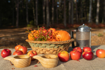 A beautiful basket with pumpkins, red apples, a teapot and black tea in wooden mugs on a table covered with a canvas tablecloth. Autumn still life on the background of the forest.