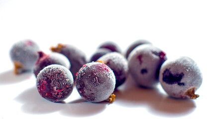 frozen currant berries on white background