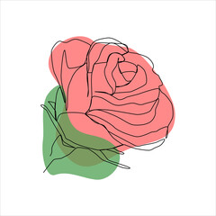 red rose with green leaves