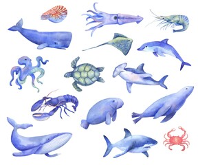 Large set of watercolor underwater ocean animals. Realistic shark, whale, dolphin and sea turtle. Octopus, shrimp and stingray isolated on white