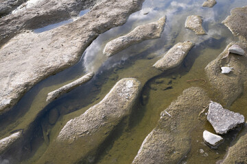 Carvings made by the water stream