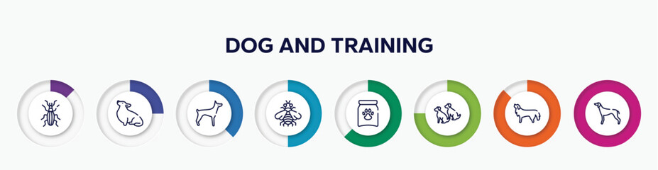 infographic element with dog and training outline icons. included null, corgi, doberman, bumblebee, treat, dogs, bernese mountain dog, greyhound vector.