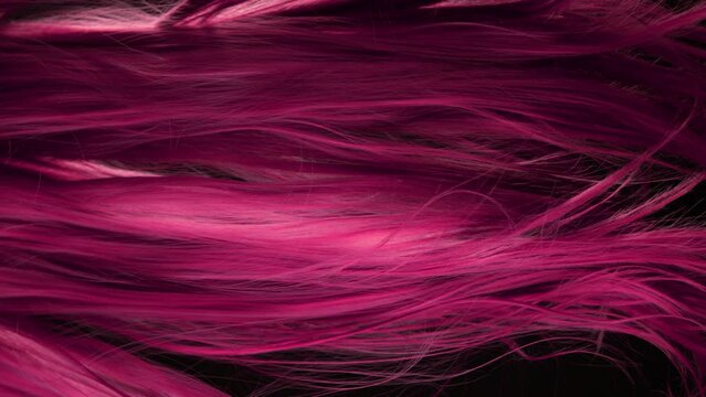 Super Slow Motion Shot of Waving Pink Hair at 1000 fps.