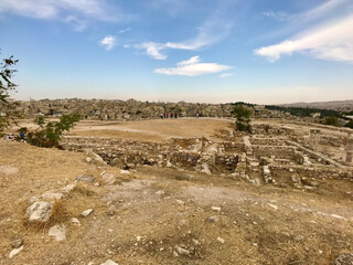 Amman, Jordan, November 2019 - A herd of sheep grazing on a dry grass field