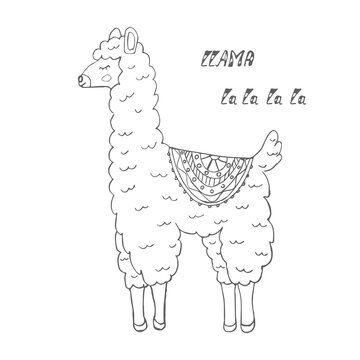 vector image of a llama