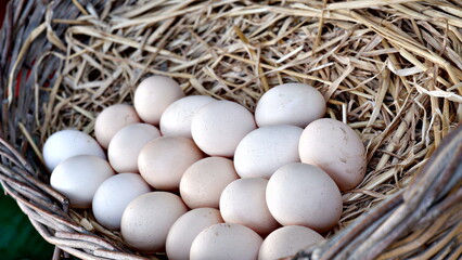 Eggs on the hay, fresh and delicious. Natural village egg. close up