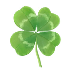 four leaf clover