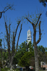 university campus in the city of Concepci&oacute;n, Chile