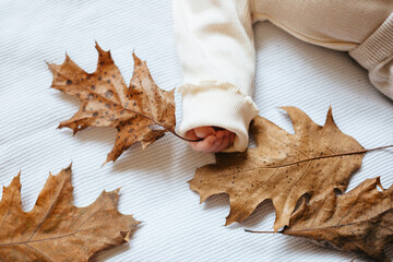 Autumn yellow leaf in the hands of a baby on a white background. the child holds an autumn yellow leaf in his hand.