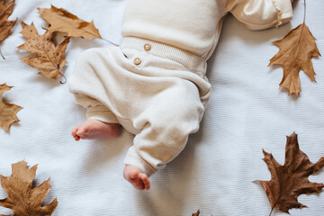 Baby feet in beige pants among autumn yellow leaves on a white background. Autumn background.