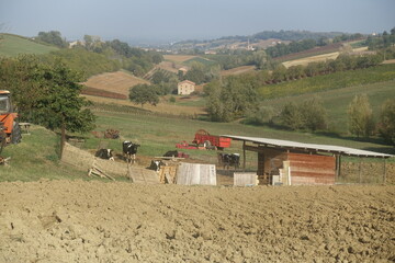 colline castelvetro di modena