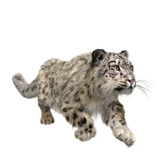 Snow Leopard running. 3D illustration isolated on transparent background.