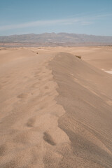 Sand dunes in the Desert