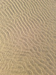 sand ripples on the beach