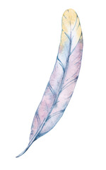Watercolor illustration of a bird feather.Hand drawn. PNG file