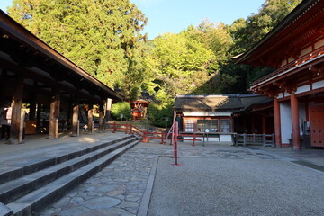 A Japanese shrine : the scene of an entrance gate to Hon-den Main Hall in the precincts of Kasuga-Taisha Shrine in Nara City in Nara Prefecture 日本の神社: 奈良市にある春日大社の境内にある本殿への入り口の風景