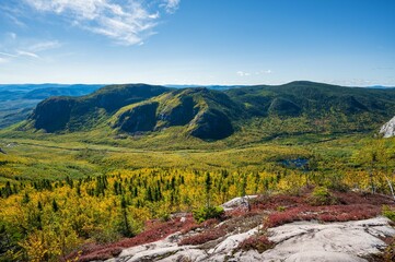 Naklejka premium Colors landscape, hills and trees covered in colorful leaves in Grands-Jardins national park, Canada