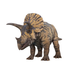 Triceratops dinosaur, pre-historic animal from the Cretaceous period. 3D illustration isolated on transparent background.