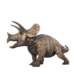 Triceratops large herbivorous dinosaur. 3D illustration isolated on transparent background.