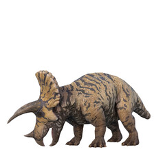 Triceratops dinosaur side view eating. 3D illustration isolated on transparent background.