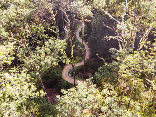 Blue Derby Bike Network Tasmania Australia