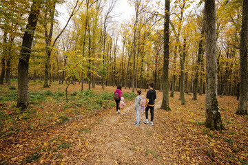 Fototapeta premium Mother with kids on a walk in autumn forest.