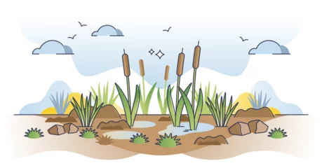Fotobehang Peatlands or mires as decomposed organic material lands outline concept. Soil type with peat organic matter as rich nutrient and fertile land vector illustration. Sapropel biome and marsh environment. © VectorMine