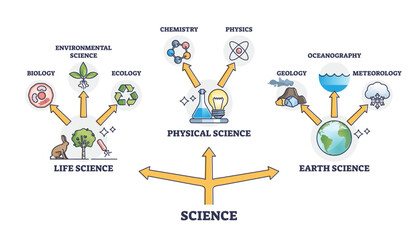 Life, physical and earth science branches division network outline diagram. Labeled educational scheme with scientific study connections for biology, chemistry, physics and geology vector illustration