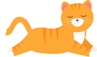 This is a cute orange cat