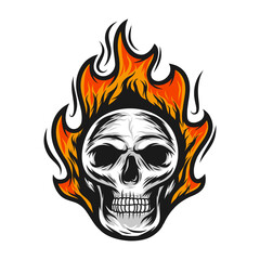 skull flame vector