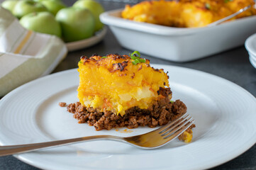 Ground beef with pumpkin and potato crust on a plate