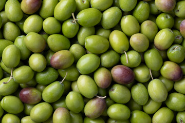 Fresh raw green olives close up full frame as background