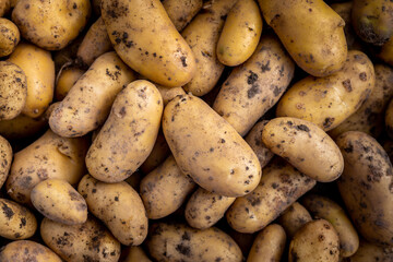 Pommes de terre en vrac
