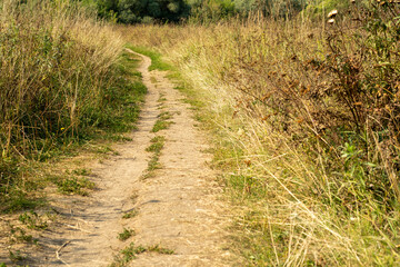Fototapeta na wymiar Narrow, dry road in a field. Path in the countryside trodden by people and passing cars.