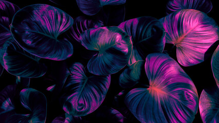 Obraz premium Tropical leaf background, neon glow color toned