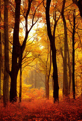 Fototapeta premium autumn in the park