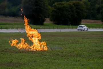 fire in the grass