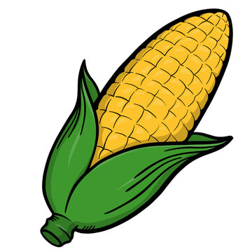 Corn Cartoon Image of Kwanzaa celebration for African American culture 