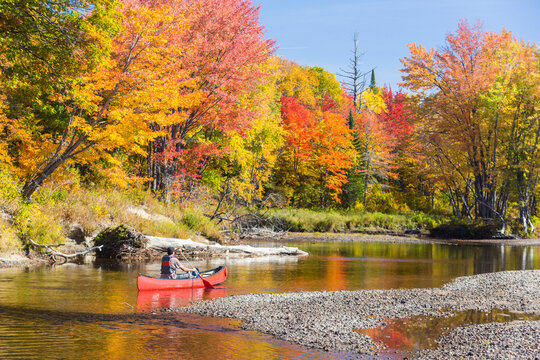 A Man Canoes Through Shallow Water In A Maine River. Fall.