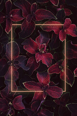 Red leaves nature abstract pattern background. Selective focus. Glowing layout frame