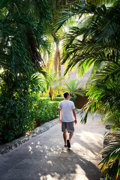 Man walking along footpath among palm trees, San Miguel&Acirc;&nbsp;de&Acirc;&nbsp;Cozumel,&Acirc;&nbsp;Quintana&Acirc;&nbsp;Roo, Mexico