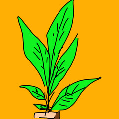 leaves plant vector isolated on orange background