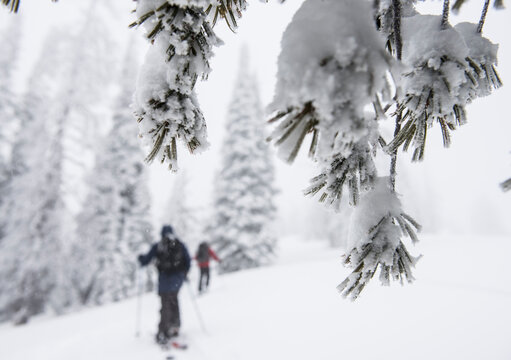 Back country ski touring at Galena Pass in Idaho.