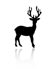 Black silhouette of Christmas reindeer with reflection. Isolated on white background.